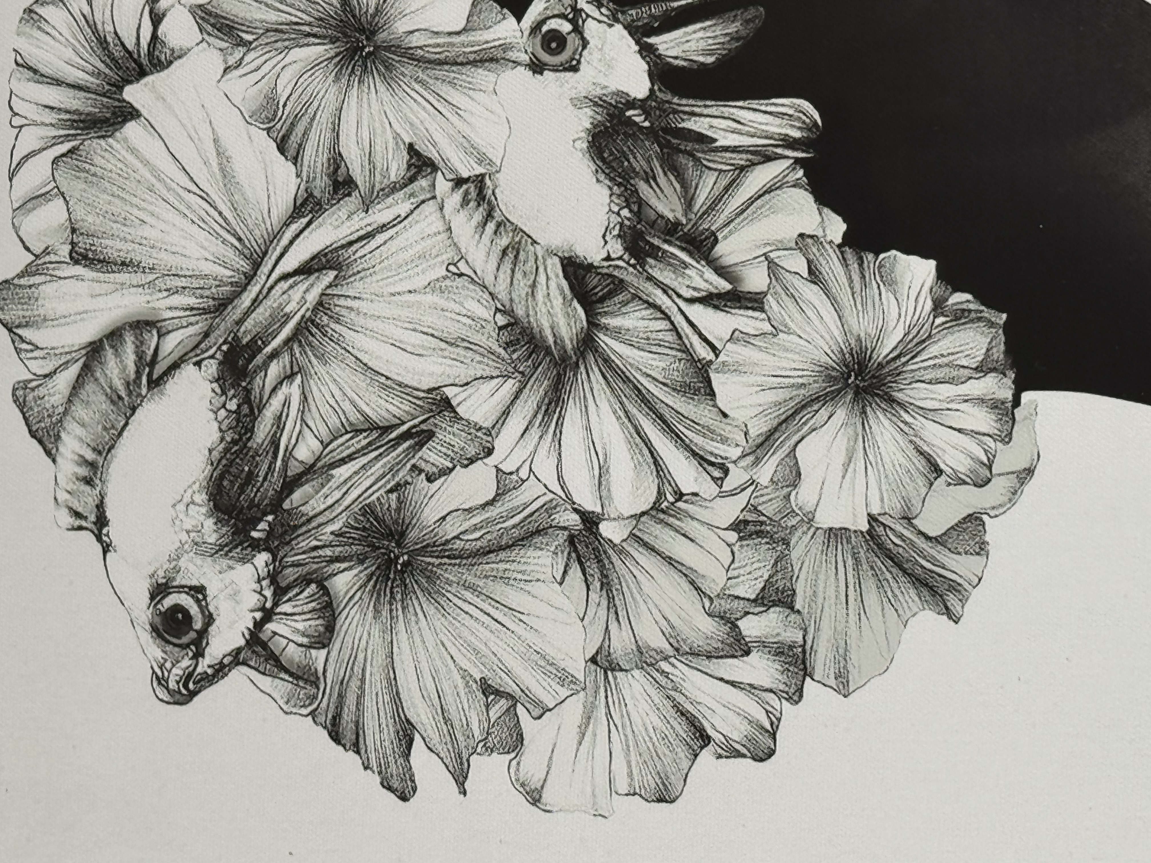 Ruben Ireland - Marianna