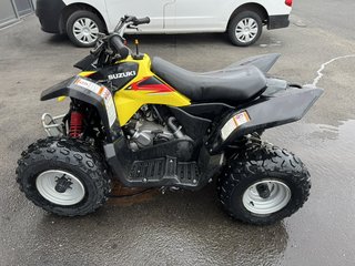 Suzuki QuadSport Quadbike